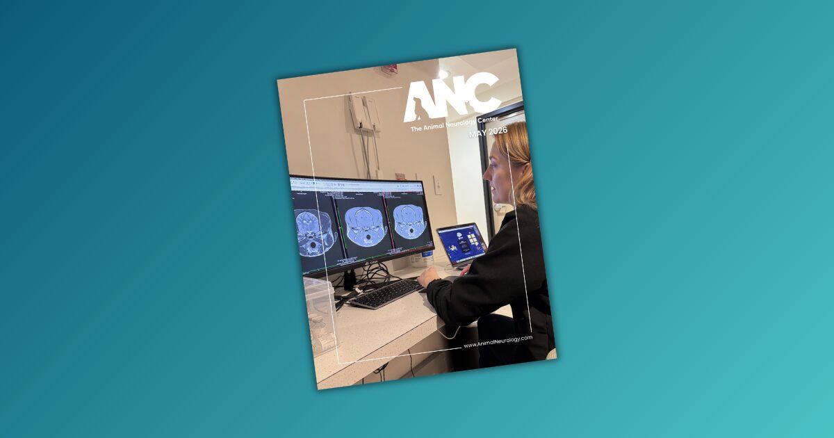 Rethinking Veterinary Education, Ripley’s Remarkable Recovery, and the Magic That Happens After Hours — The ANC May 2026 Newsletter
