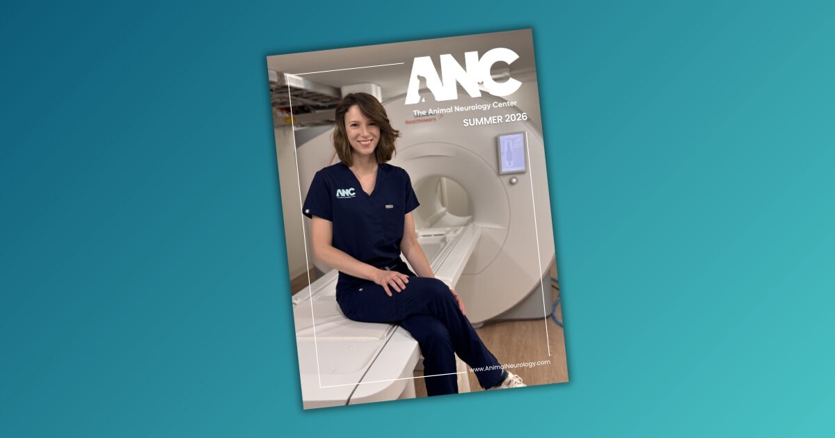 ANC Summer Newsletter
